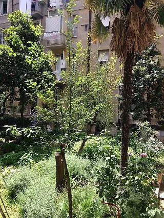 Rona Resort Rome